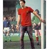 Afbeeldingen van Belgie retro voetbalshirt 1960's