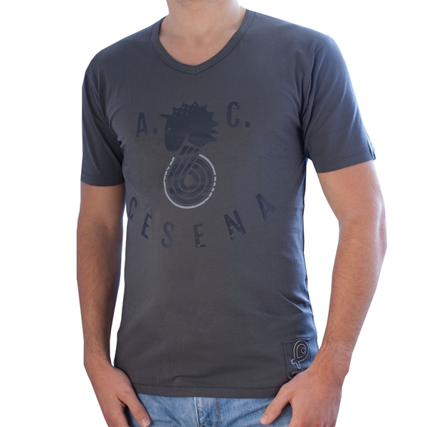 Afbeeldingen van Pouchain - Cesena 79 V-neck T-shirt - Grey