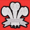 Afbeeldingen van Wales 1905 Retro Rugby Zipped Hoodie - Rood