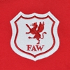 Afbeeldingen van Wales Retro Voetbalshirt 1920's