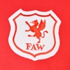Afbeeldingen van Wales Retro Voetbalshirt 1920's