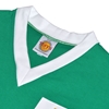 Afbeeldingen van Noord Ierland Retro Voetbalshirt WK 1958