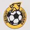 Afbeeldingen van Detroit Cougars Retro Voetbalshirt 1960's