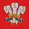 Afbeeldingen van Wales Rugby Ringer T-Shirt