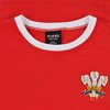Afbeeldingen van Wales Rugby Ringer T-Shirt