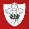 Afbeeldingen van Rugby Vintage - Wales Polo - Rood