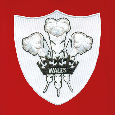 Rugby Vintage – Wales Polo –