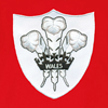 Afbeeldingen van Rugby Vintage - Wales Polo - Rood/Wit