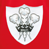 Afbeeldingen van Rugby Vintage - Wales Retro Rugby Shirt 1950's - Rood