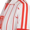 Afbeeldingen van Polen Retro Voetbalshirt 1982-1984