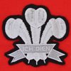 Afbeeldingen van Wales Retro Rugby Shirt 1905