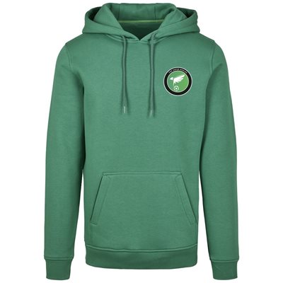 FC Eleven - Nigeria Super Eagles Hoodie - Groen afbeelding