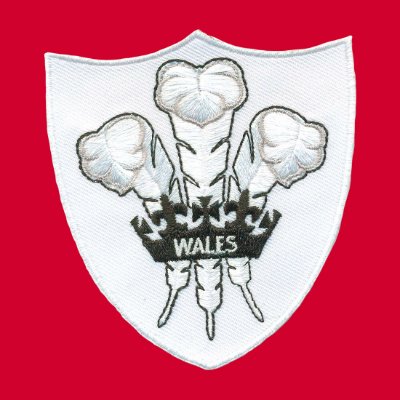 Rugby Vintage – Wales Dragons Trainingsjack –