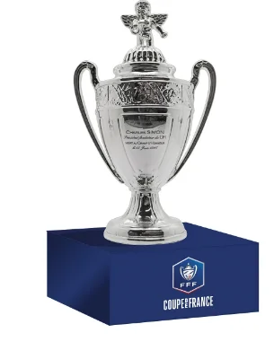 Coupe de France 3D Replica Trofee op Display Stand (10 cm)