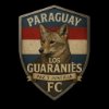 FC ELEVEN - Paraguay Los Guaranies Heavy T-Shirt  - Zwart