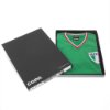 Afbeeldingen van Mexico retro voetbalshirt 1980's + Nummer 9 (Hugo Sánchez)